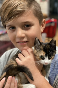 child holding a kitten