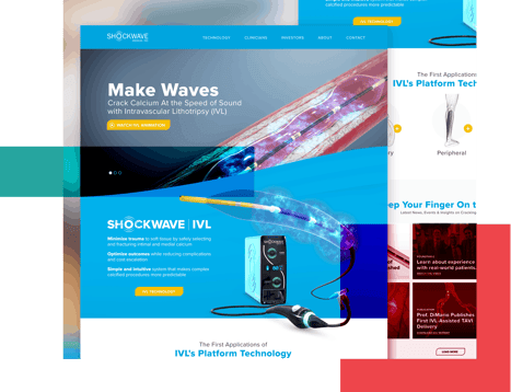 Shockwave Medical - Healthcare and Biotech Shockwave Medical - Healthcare and Biotech